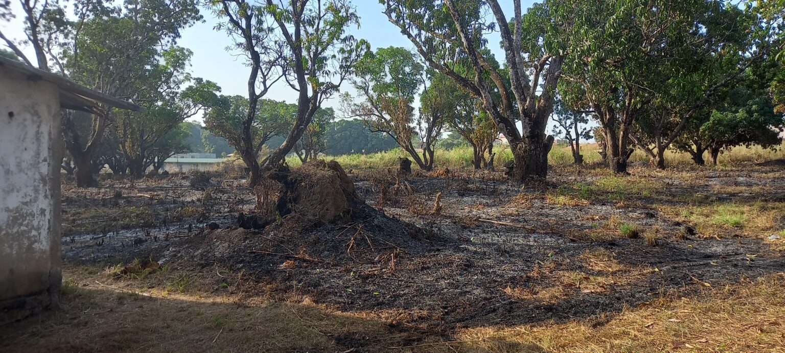 Dubréka: un nouveau cas d’incendie criminel à Bawa